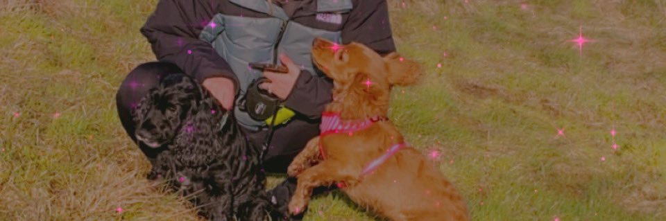 katedrew0's profile banner image