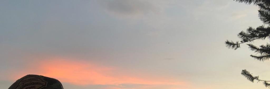 Dlomunera's profile banner image