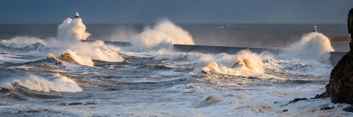 Nick Marchand banner