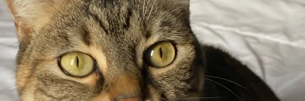 ItsNoviaX Profile Banner