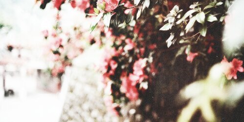 selenabeachgdr's profile banner image