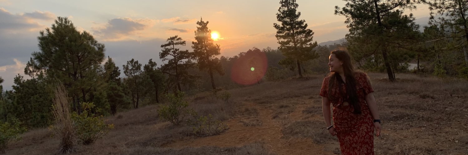 paolachoujo's profile banner image