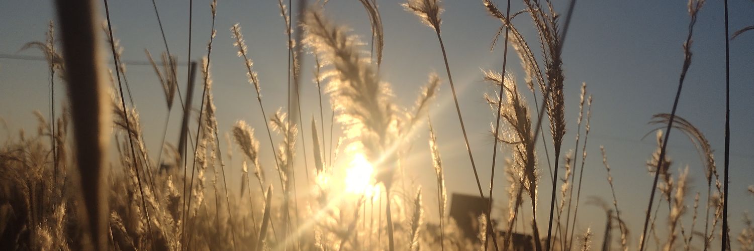 vopaulii's profile banner image