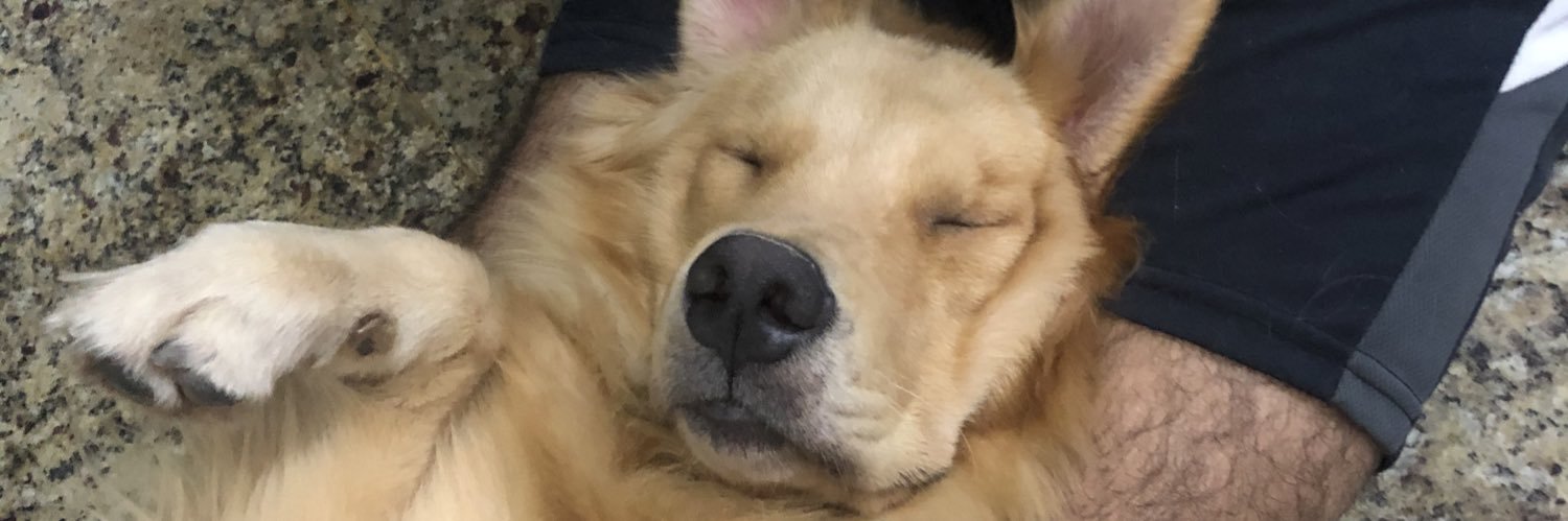 sandovs_'s profile banner image