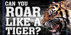 TigerBlueWill's profile banner image