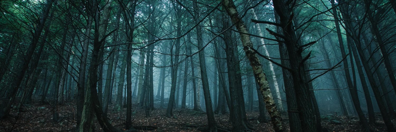 Mannethrowaway's profile banner image