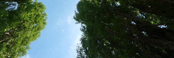 Sedlacek_Jan Profile Banner