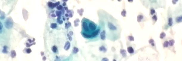 Gmcpath's profile banner image