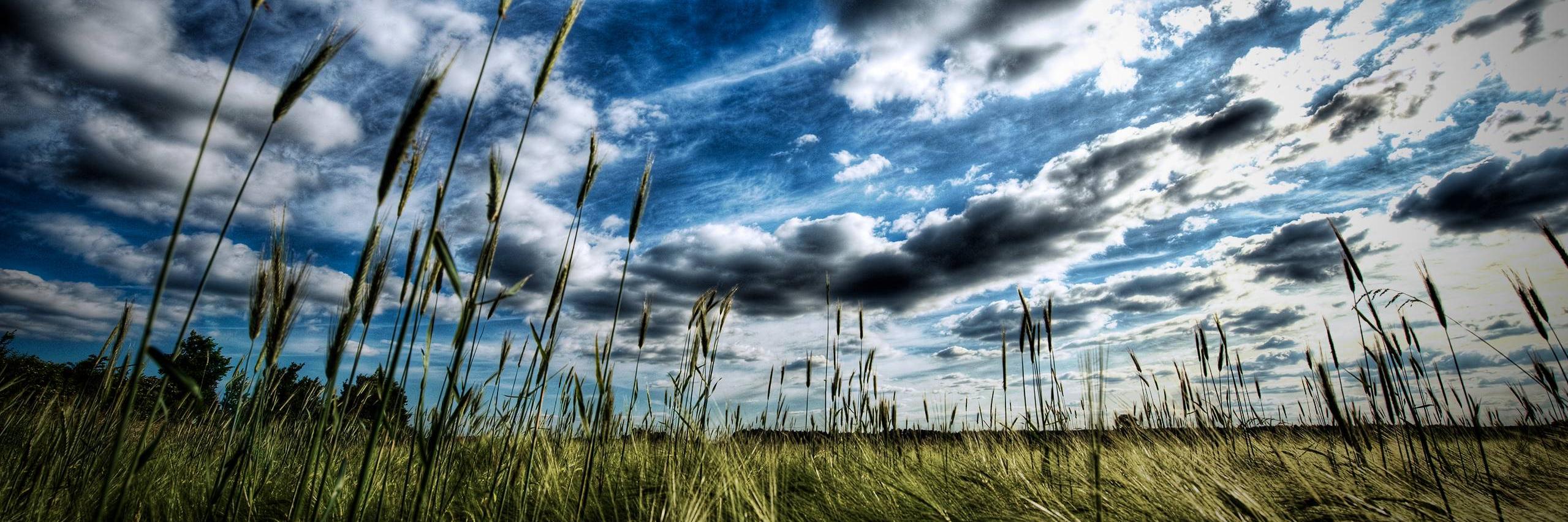 phermens's profile banner image