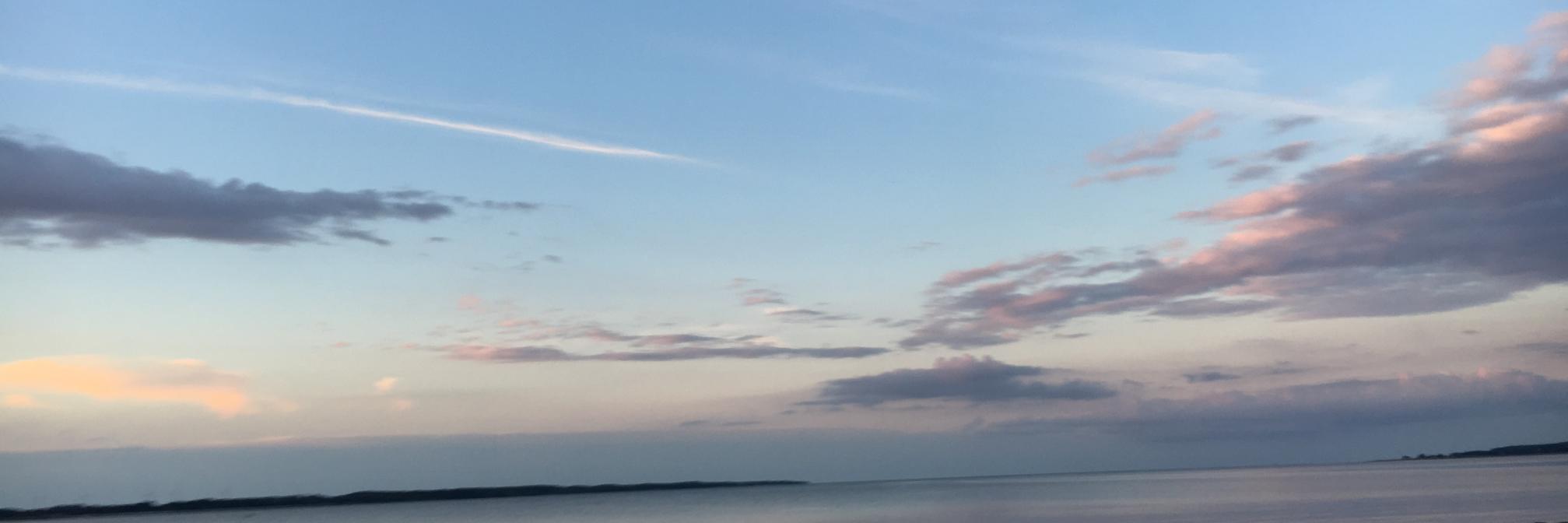 Roggenbrotchen's profile banner image