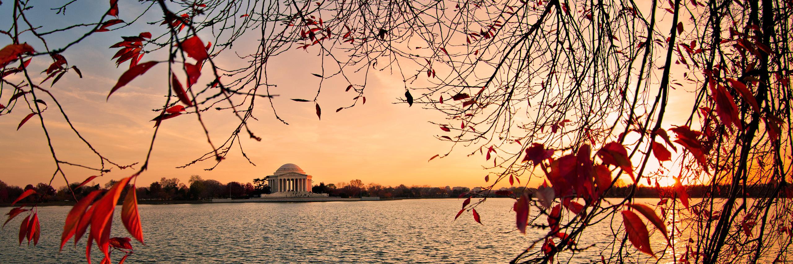 CelebrityDC's profile banner image