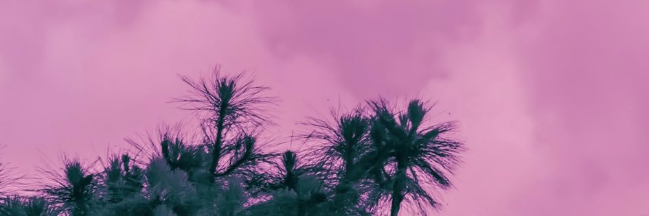 collinscaitlyn_'s profile banner image