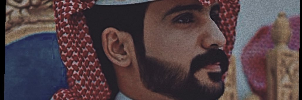 goos511's profile banner image