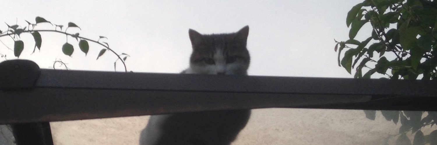 hunter_pooh's profile banner image