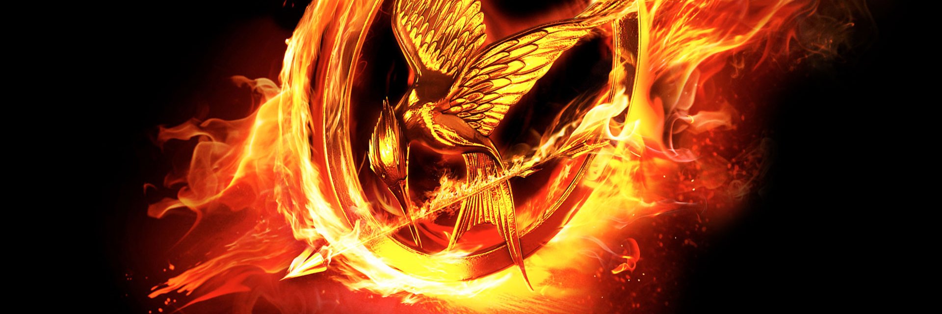 MsMockingjay3's profile banner image