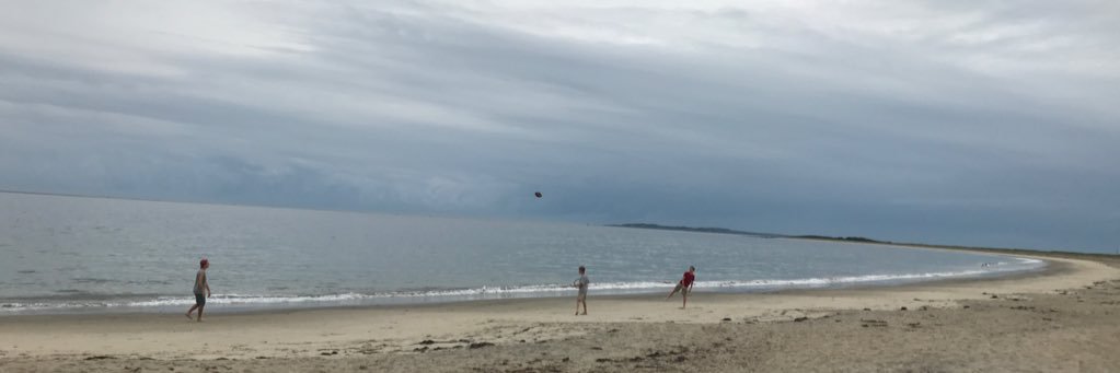 leah (she/her) 🏳️‍🌈🏳️‍⚧️💚💜 banner