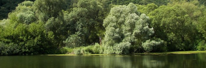 dijesssss 💋🌺🌹 banner