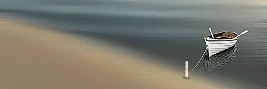 theveesh's profile banner image