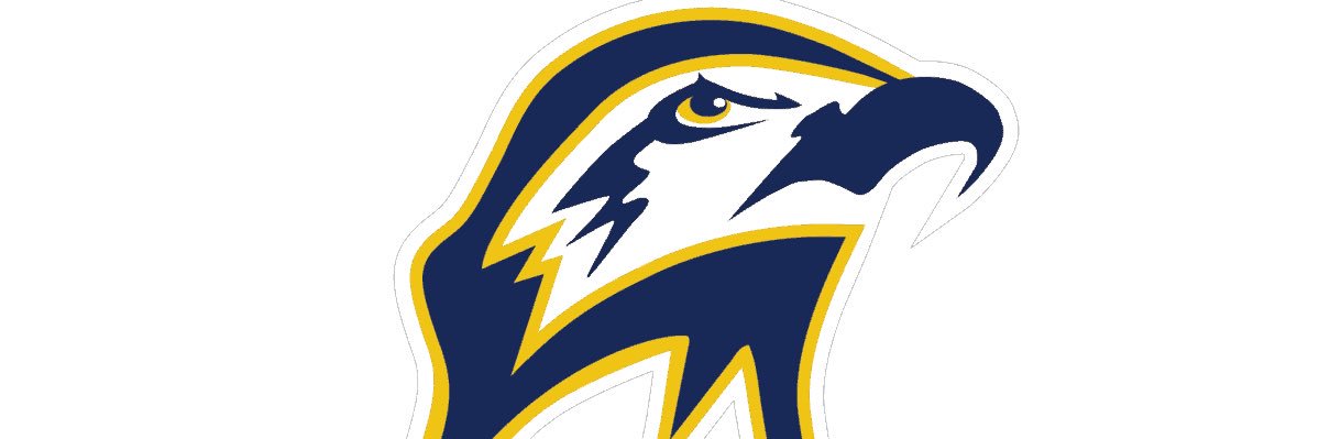 Coach Satchel Ball banner