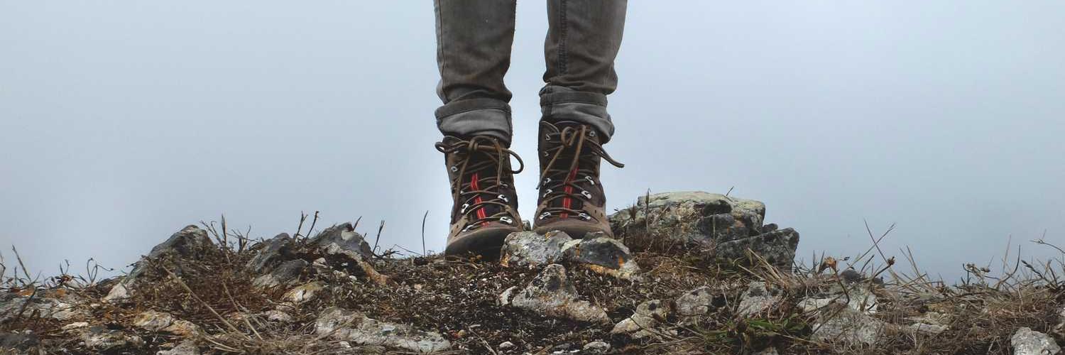 PattyToregoley's profile banner image