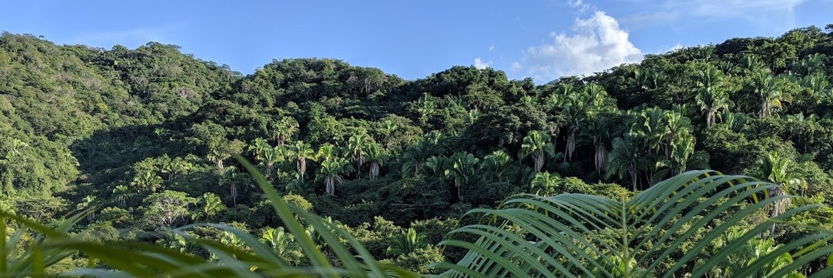 lostaloha's profile banner image