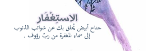 saalim6454's profile banner image