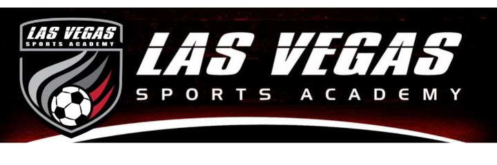 LVSA1's profile banner image