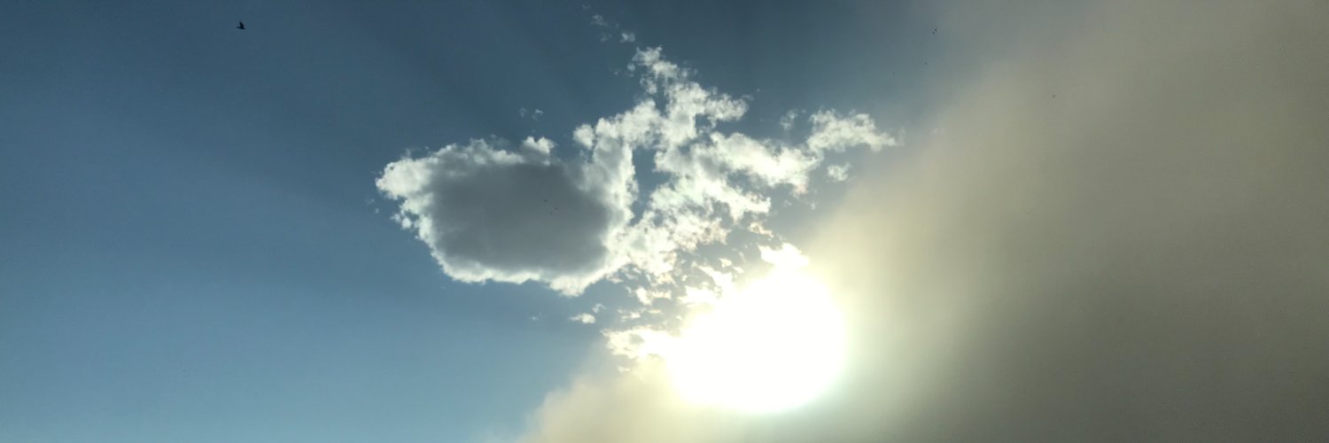 f3rbrmn's profile banner image