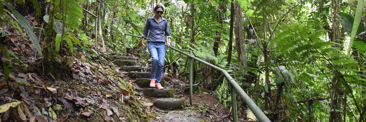 Angélica Castro banner