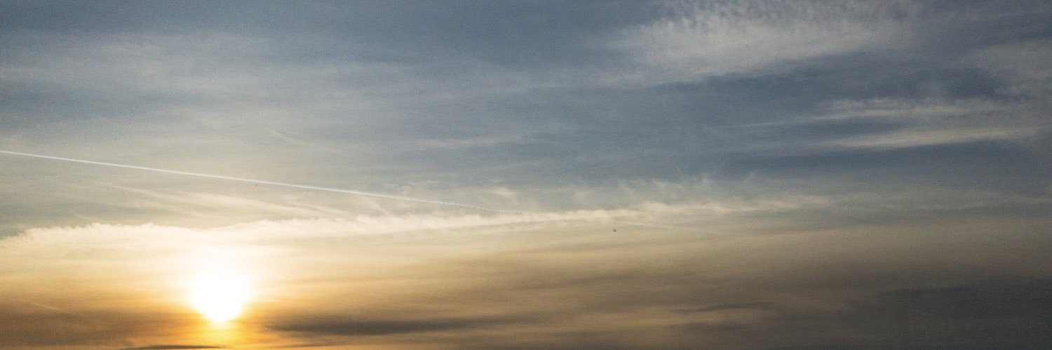 DivinaFowler's profile banner image