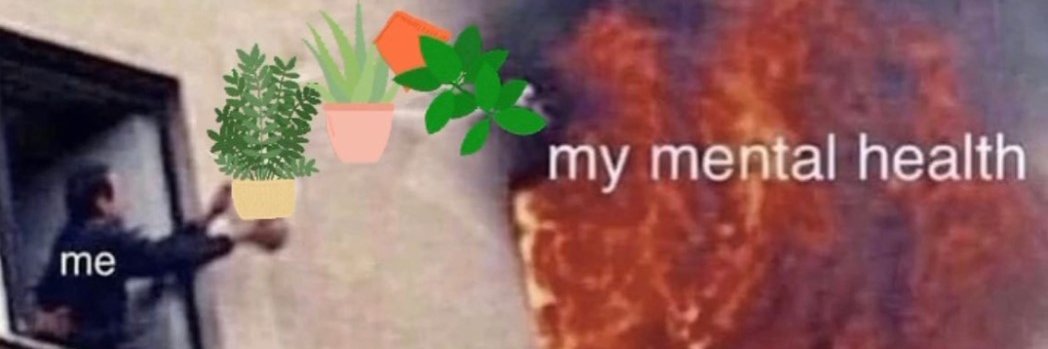 MagaPeach's profile banner image