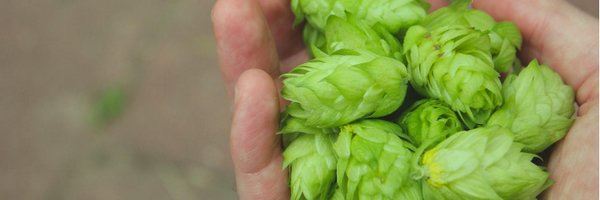 BSGCraftBrewing Profile Banner