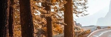 almas___7777's profile banner image