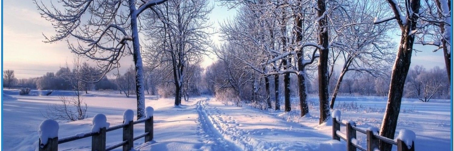MonkeyJean74's profile banner image