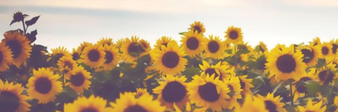 putmelati's profile banner image