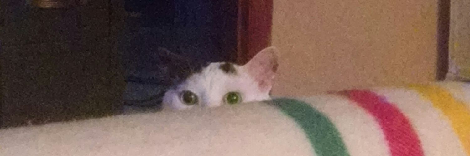 fullObacon's profile banner image