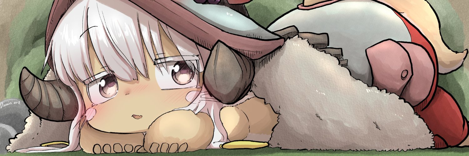 zoruide's profile banner image