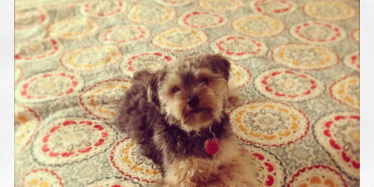 kellyn__heller's profile banner image