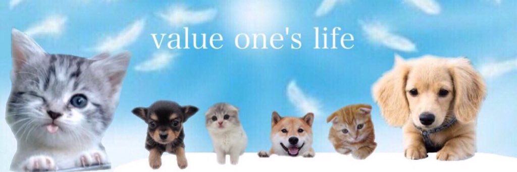 na30003715's profile banner image
