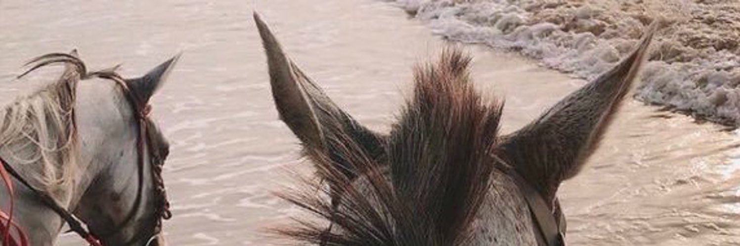 __xxxi's profile banner image