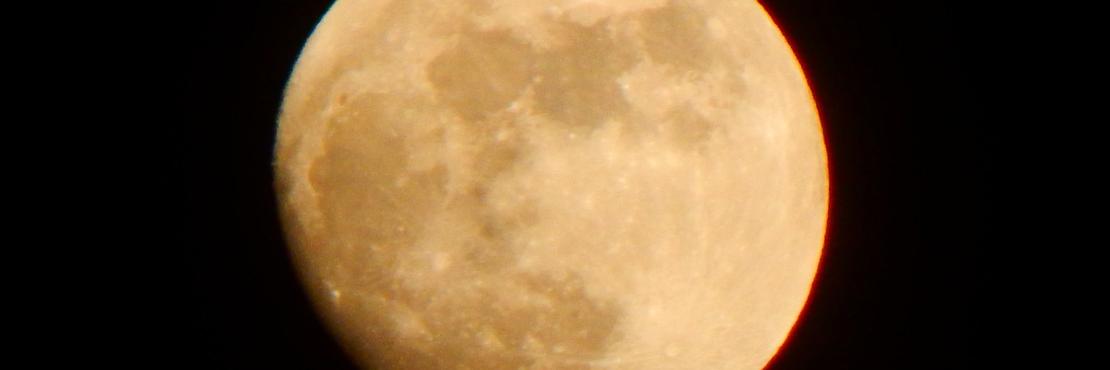 peterMsims's profile banner image