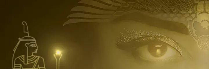 Miguel Pool banner