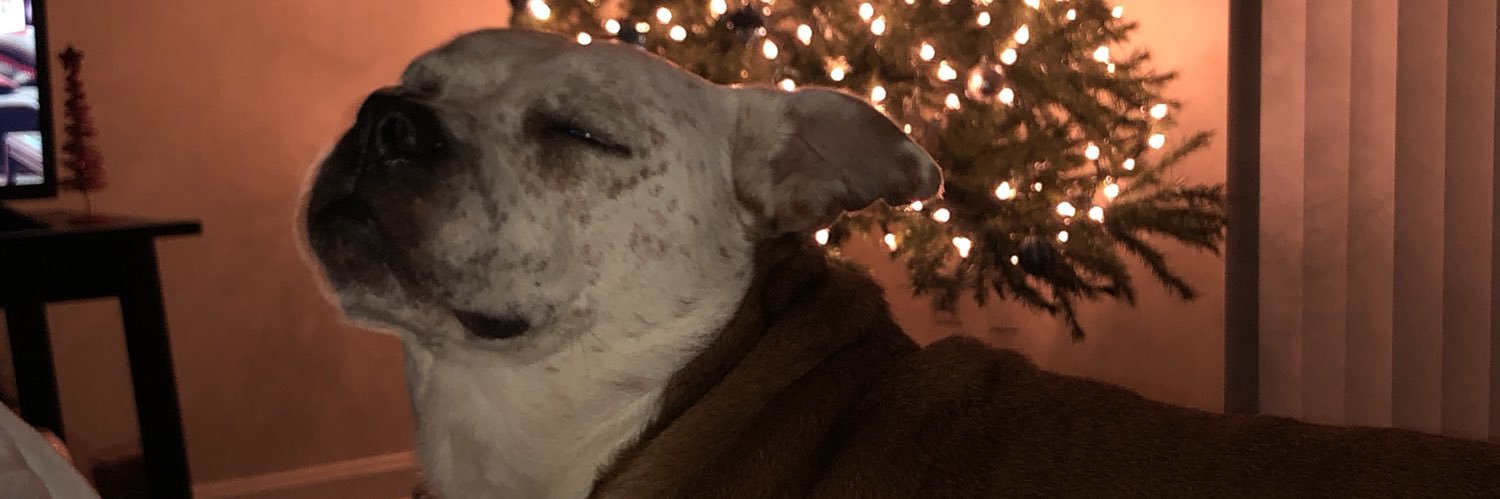 ohmeowchels's profile banner image