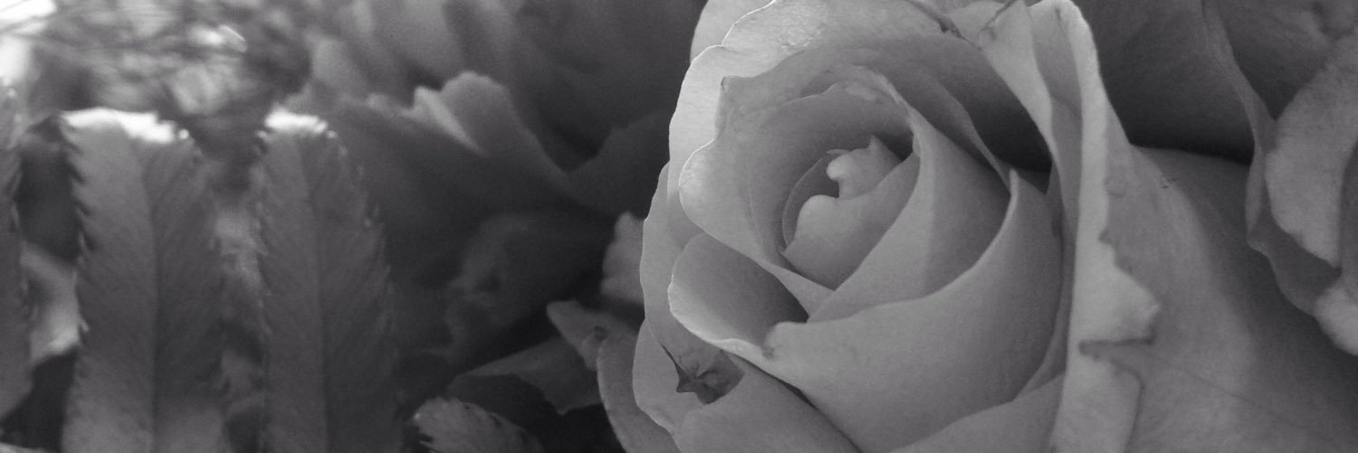_Insomnus_'s profile banner image