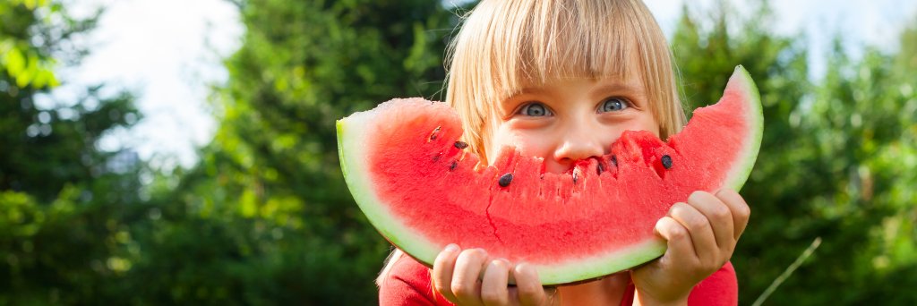 Shropshire Festivals banner