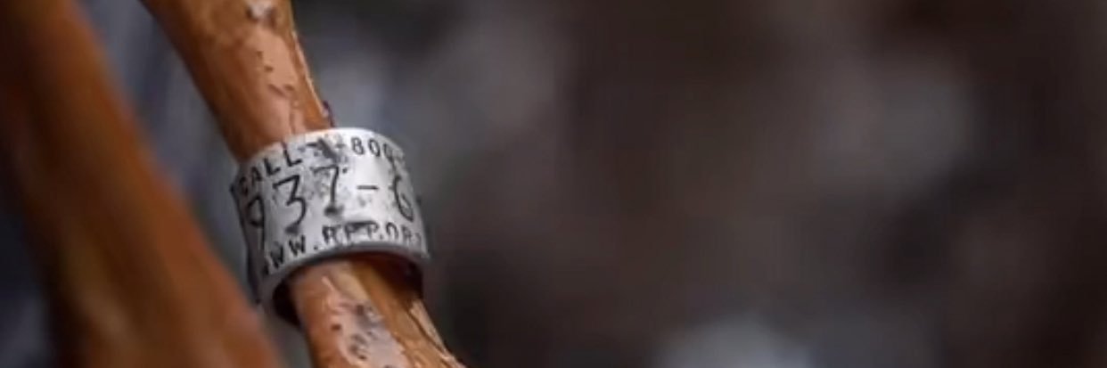 SolZaddy's profile banner image