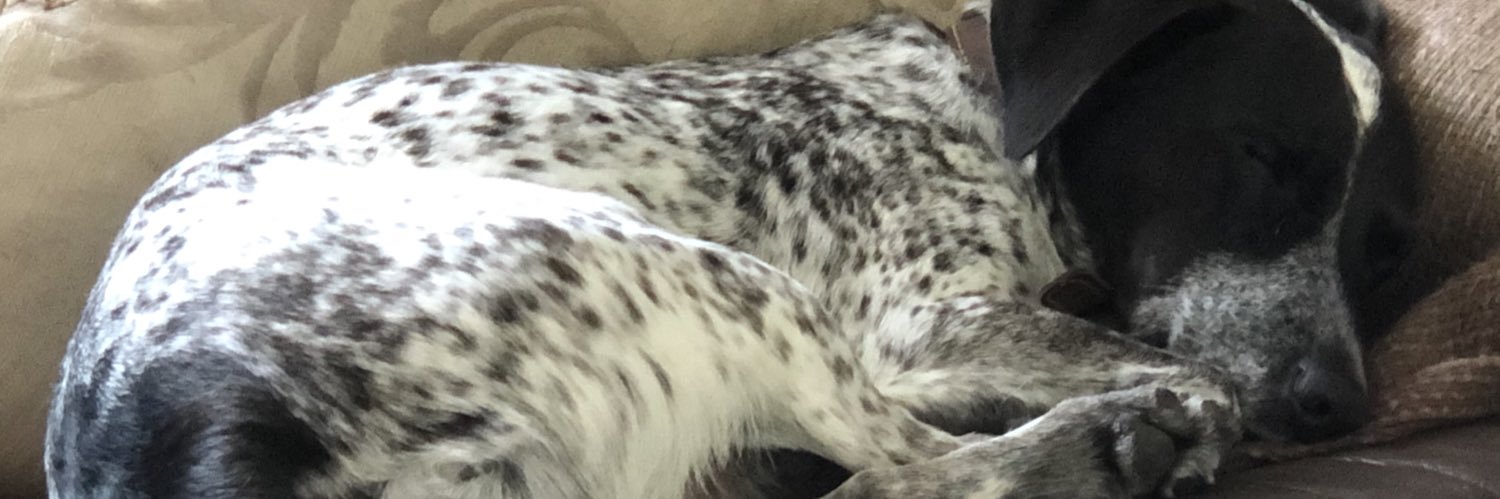 MarcusPerrry's profile banner image