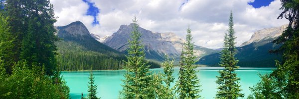 oliviarogerson Profile Banner