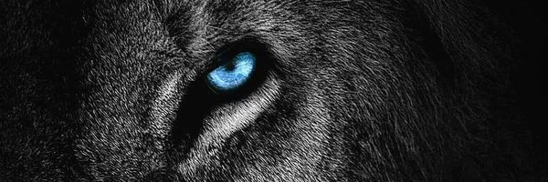 srikanth_nb Profile Banner