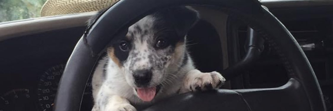 bladesoftori's profile banner image